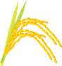 稲イラスト